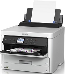 Epson WorkForce Pro WF-C5290 ドライバー